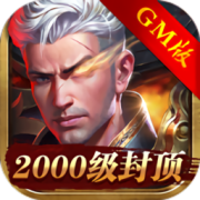 单职业超变gm版