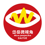岱岳微视角软件