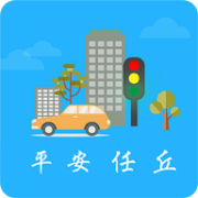 平安任丘软件