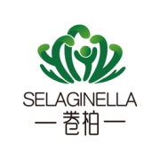卷柏健康手机版