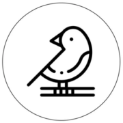 纸上app