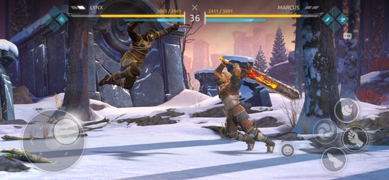 shadow fight arena