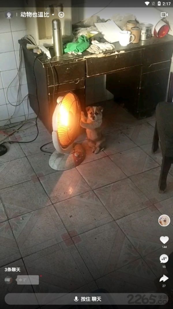 趣实拍