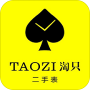 淘只二手表app